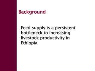Forage seed supply in Ethiopia—Some thoughts on current status and how it might evolve