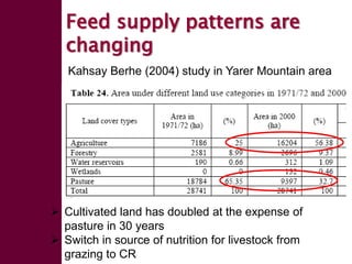 Forage seed supply in Ethiopia—Some thoughts on current status and how it might evolve