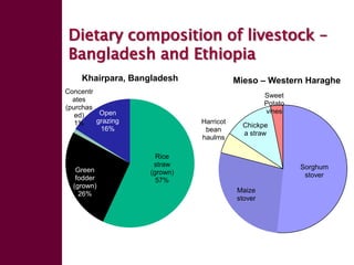 Forage seed supply in Ethiopia—Some thoughts on current status and how it might evolve