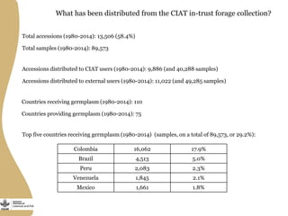 What has been distributed from the CIAT in-trust forage collection?
Total accessions (1980-2014): 13,506 (58.4%)
Total samples (1980-2014): 89,573
Accessions distributed to CIAT users (1980-2014): 9,886 (and 40,288 samples)
Accessions distributed to external users (1980-2014): 11,022 (and 49,285 samples)
Countries receiving germplasm (1980-2014): 110
Countries providing germplasm (1980-2014): 75
Top five countries receiving germplasm (1980-2014) (samples, on a total of 89,573, or 29.2%):
Colombia 16,062 17.9%
Brazil 4,513 5.0%
Peru 2,083 2.3%
Venezuela 1,845 2.1%
Mexico 1,661 1.8%
 