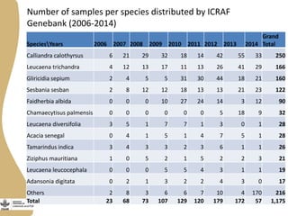 Number of samples per species distributed by ICRAF
Genebank (2006-2014)
SpeciesYears 2006 2007 2008 2009 2010 2011 2012 2013 2014
Grand
Total
Calliandra calothyrsus 6 21 29 32 18 14 42 55 33 250
Leucaena trichandra 4 12 13 17 11 13 26 41 29 166
Gliricidia sepium 2 4 5 5 31 30 44 18 21 160
Sesbania sesban 2 8 12 12 18 13 13 21 23 122
Faidherbia albida 0 0 0 10 27 24 14 3 12 90
Chamaecytisus palmensis 0 0 0 0 0 0 5 18 9 32
Leucaena diversifolia 3 5 1 7 7 1 3 0 1 28
Acacia senegal 0 4 1 5 1 4 7 5 1 28
Tamarindus indica 3 4 3 3 2 3 6 1 1 26
Ziziphus mauritiana 1 0 5 2 1 5 2 2 3 21
Leucaena leucocephala 0 0 0 5 5 4 3 1 1 19
Adansonia digitata 0 2 1 3 2 2 4 3 0 17
Others 2 8 3 6 6 7 10 4 170 216
Total 23 68 73 107 129 120 179 172 57 1,175
 