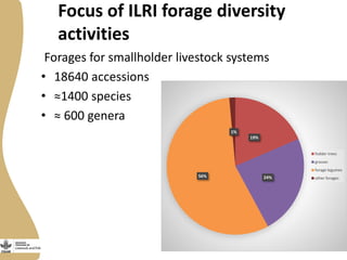Forage and fodder tree selection for future challenges: Linking users to genebanks