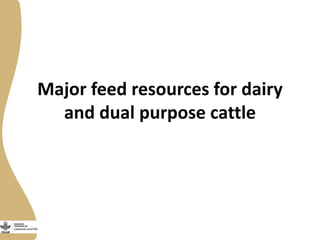 Assessing needs: Forage demands and feed gaps from dairy and dual purpose value chains