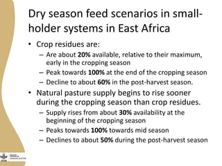Assessing needs: Forage demands and feed gaps from dairy and dual purpose value chains