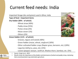Assessing needs: Forage demands and feed gaps from dairy and dual purpose value chains