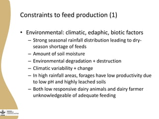 Assessing needs: Forage demands and feed gaps from dairy and dual purpose value chains