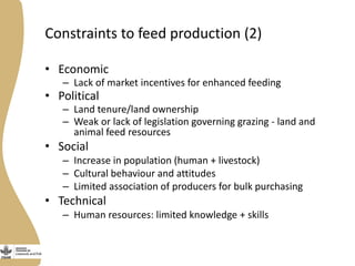 Assessing needs: Forage demands and feed gaps from dairy and dual purpose value chains