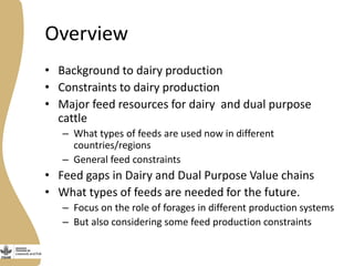 Assessing needs: Forage demands and feed gaps from dairy and dual purpose value chains