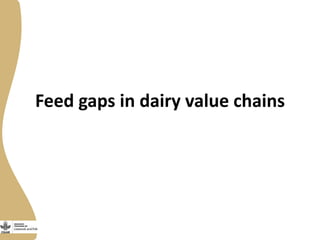 Assessing needs: Forage demands and feed gaps from dairy and dual purpose value chains