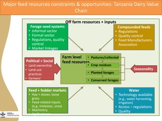 Assessing needs: Forage demands and feed gaps from dairy and dual purpose value chains