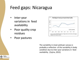 Assessing needs: Forage demands and feed gaps from dairy and dual purpose value chains