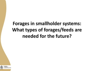 Assessing needs: Forage demands and feed gaps from dairy and dual purpose value chains