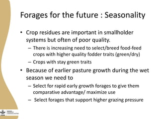 Assessing needs: Forage demands and feed gaps from dairy and dual purpose value chains