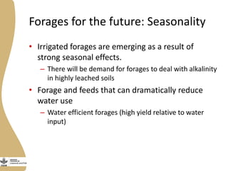 Assessing needs: Forage demands and feed gaps from dairy and dual purpose value chains
