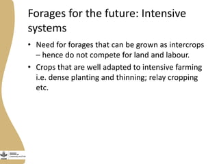 Assessing needs: Forage demands and feed gaps from dairy and dual purpose value chains