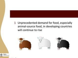Assessing needs: Forage demands and feed gaps from dairy and dual purpose value chains