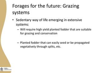 Assessing needs: Forage demands and feed gaps from dairy and dual purpose value chains