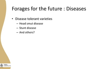 Assessing needs: Forage demands and feed gaps from dairy and dual purpose value chains