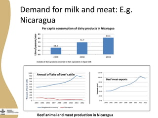 Assessing needs: Forage demands and feed gaps from dairy and dual purpose value chains