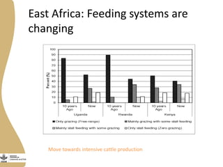 Assessing needs: Forage demands and feed gaps from dairy and dual purpose value chains