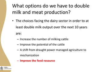 Assessing needs: Forage demands and feed gaps from dairy and dual purpose value chains