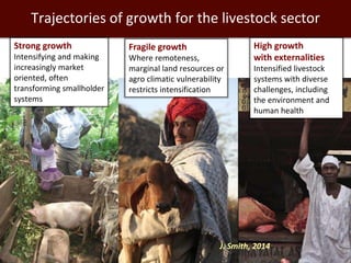 Trajectories of growth for the livestock sector
Strong growth
Intensifying and making
increasingly market
oriented, often
transforming smallholder
systems
Fragile growth
Where remoteness,
marginal land resources or
agro climatic vulnerability
restricts intensification
High growth
with externalities
Intensified livestock
systems with diverse
challenges, including
the environment and
human health
J. Smith, 2014
 