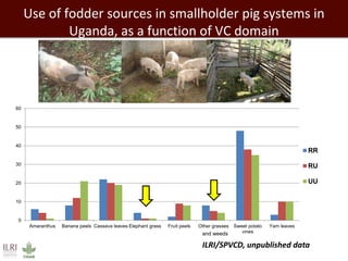 Use of fodder sources in smallholder pig systems in
Uganda, as a function of VC domain
0
10
20
30
40
50
60
Amaranthus Banana peels Cassava leaves Elephant grass Fruit peels Other grasses Sweet potato
vines
Yam leaves
RR
RU
UU
and weeds
ILRI/SPVCD, unpublished data
 