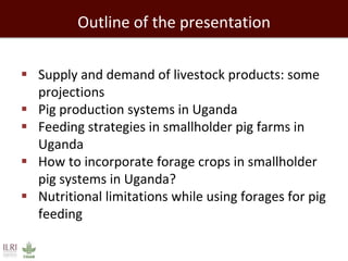 Outline of the presentation
 Supply and demand of livestock products: some
projections
 Pig production systems in Uganda
 Feeding strategies in smallholder pig farms in
Uganda
 How to incorporate forage crops in smallholder
pig systems in Uganda?
 Nutritional limitations while using forages for pig
feeding
 