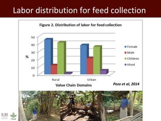Labor distribution for feed collection
Pezo et al, 2014
 