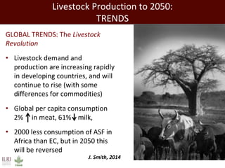 Livestock Production to 2050:
TRENDS
GLOBAL TRENDS: The Livestock
Revolution
• Livestock demand and
production are increasing rapidly
in developing countries, and will
continue to rise (with some
differences for commodities)
• Global per capita consumption
2% in meat, 61% milk,
• 2000 less consumption of ASF in
Africa than EC, but in 2050 this
will be reversed
J. Smith, 2014
 