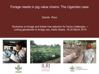 Forage needs in pig value chains: The Ugandan case
Danilo Pezo
Workshop on forage and fodder tree selection for future challenges —
Linking genebanks to forage use, Addis Ababa, 16-20 March 2015
 