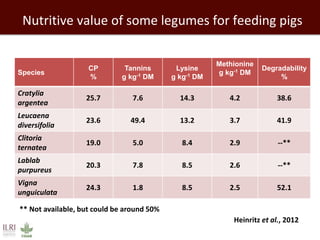 Forage needs in pig value chains: The Ugandan case