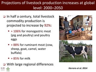 Forage needs in pig value chains: The Ugandan case