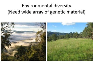 Forages and the gradual shift towards more intensive management