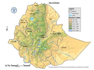 Forages and the gradual shift towards more intensive management