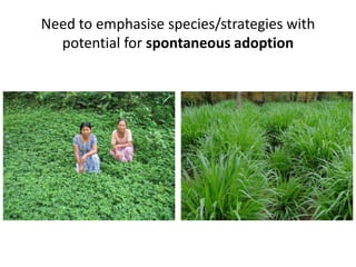 Forages and the gradual shift towards more intensive management