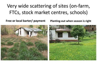 Forages and the gradual shift towards more intensive management