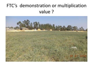 Forages and the gradual shift towards more intensive management