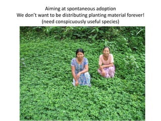 Forages and the gradual shift towards more intensive management