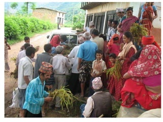 Forages and the gradual shift towards more intensive management