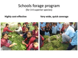 Forages and the gradual shift towards more intensive management