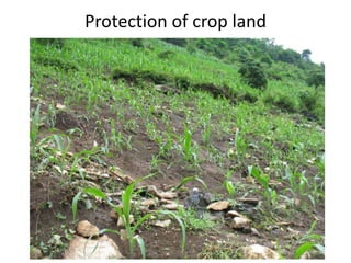 Protection of crop land
 