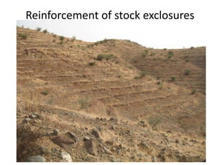 Natural resource management and forages