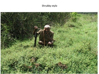 Natural resource management and forages