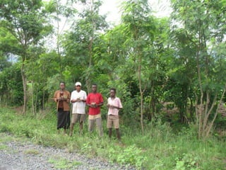 Natural resource management and forages