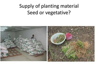 Natural resource management and forages