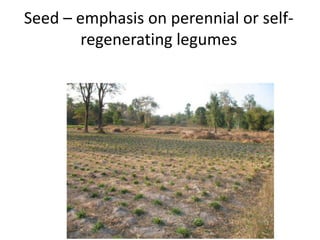 Natural resource management and forages