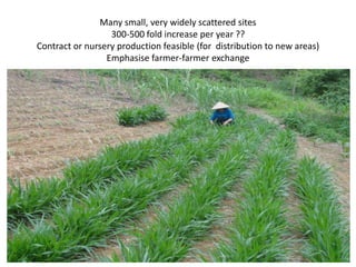 Natural resource management and forages