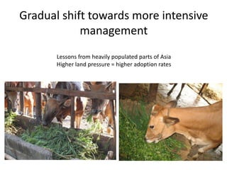 Natural resource management and forages