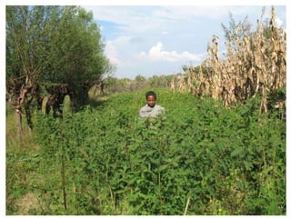 Natural resource management and forages